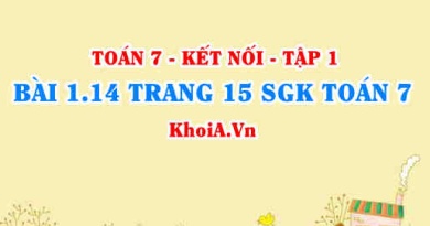 Bài 1.14 trang 14 SGK Toán 7 tập 1 Kết nối tri thức